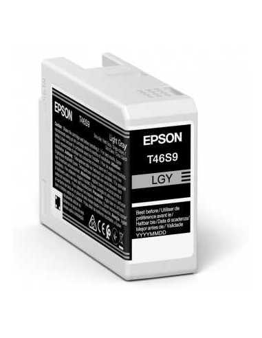Epson UltraChrome Pro cartucho de tinta 1 pieza(s) Original Gris claro