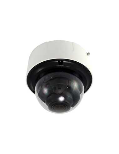 LevelOne FCS-3406 cámara de vigilancia Almohadilla Cámara de seguridad IP Interior y exterior 1920 x 1080 Pixeles Techo